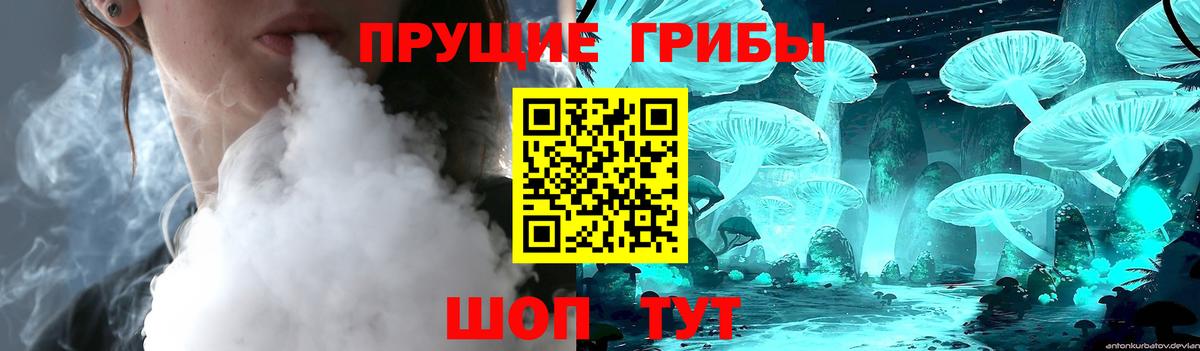 Галлюциногенные грибы прущие грибы Елабуга