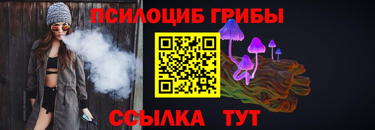 закладка  Псилоцибиновые грибы Psilocybine cubensis  Вход с VPN  Елабуга  Псилоцибиновые грибы Psilocybine cubensis 